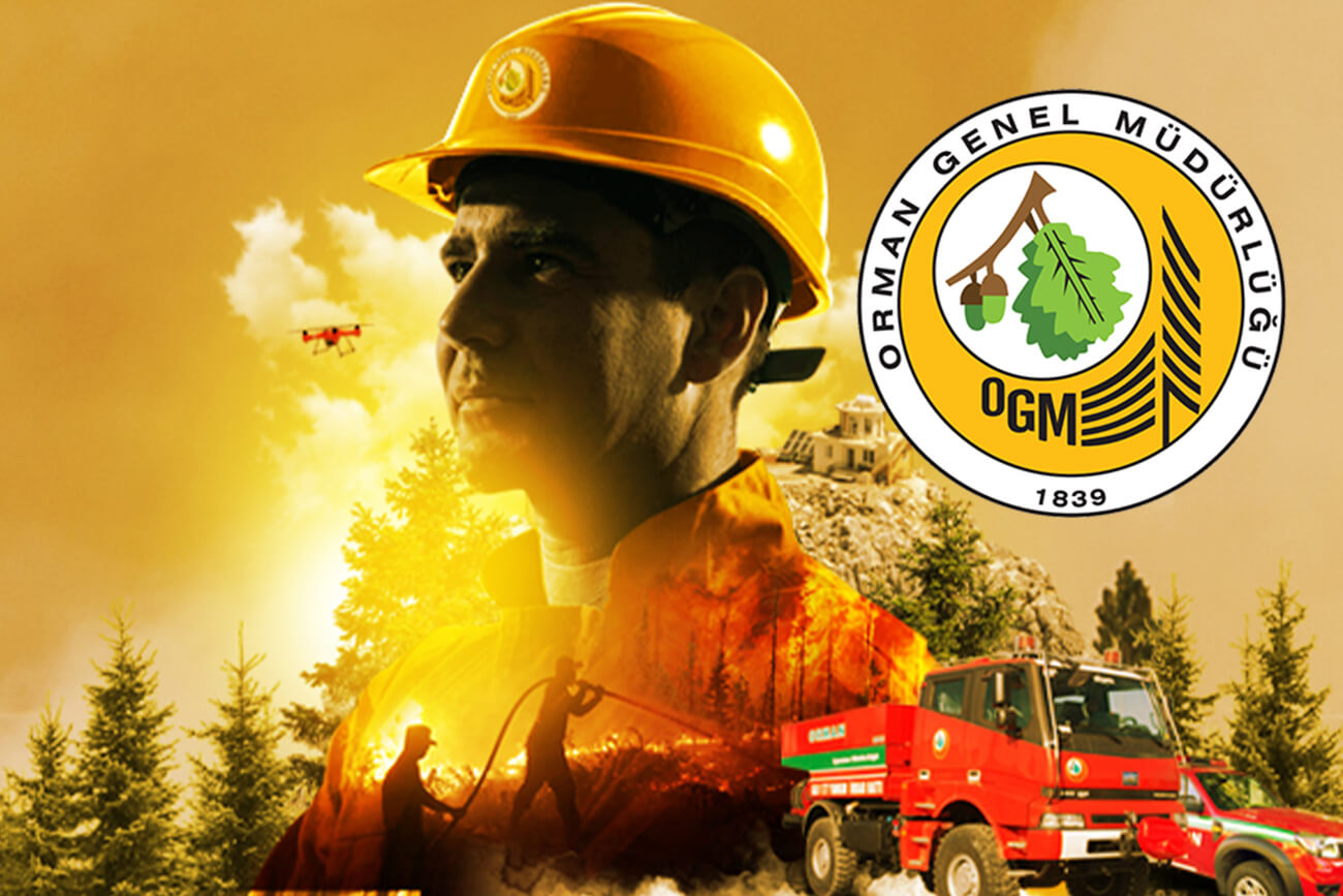 OGM Bilişim Network Projesi